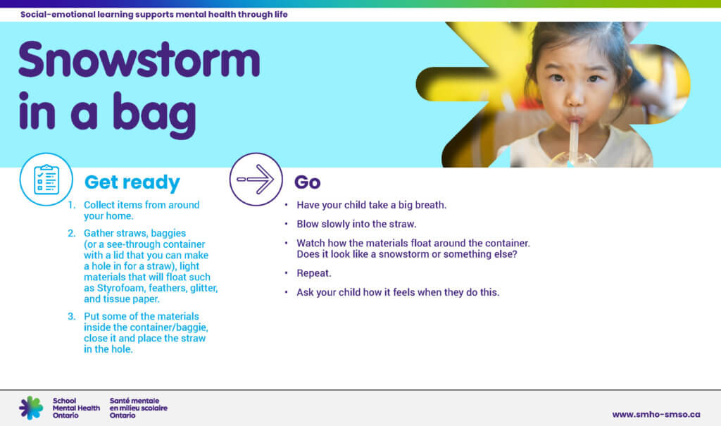 Snowstorm in a bag instructions