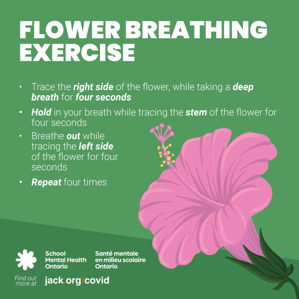 Text and a pink hibiscus flower. A full description follows.